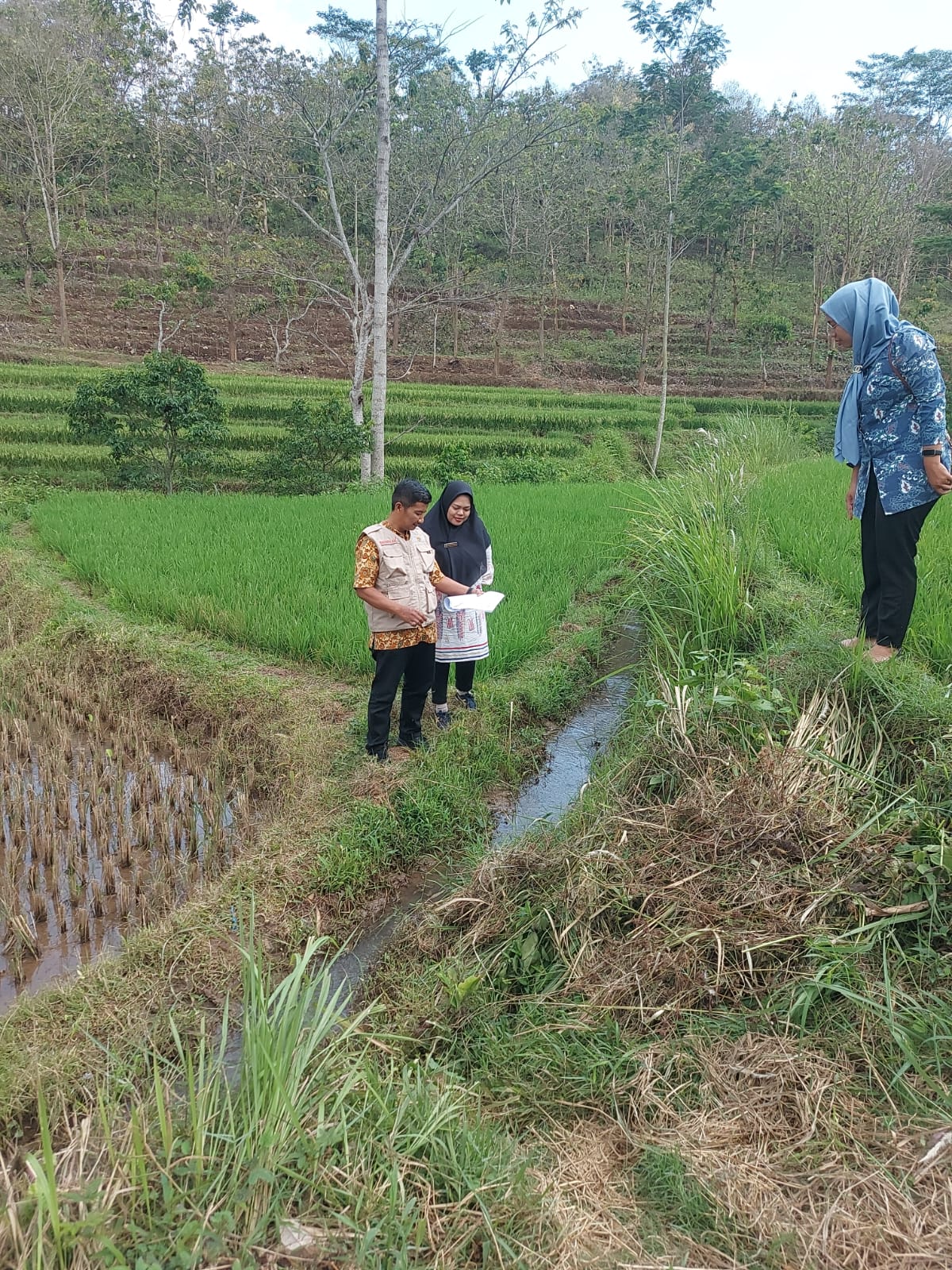 IMG-20251023-WA0043