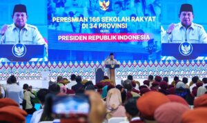 WhatsApp Image 2026-03-02 at 18.45.17